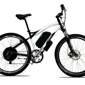Stealth ebike 1000W 29er